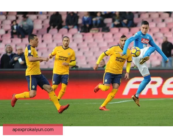 维罗纳未来规划展望：俱乐部投资与球队建设策略分析