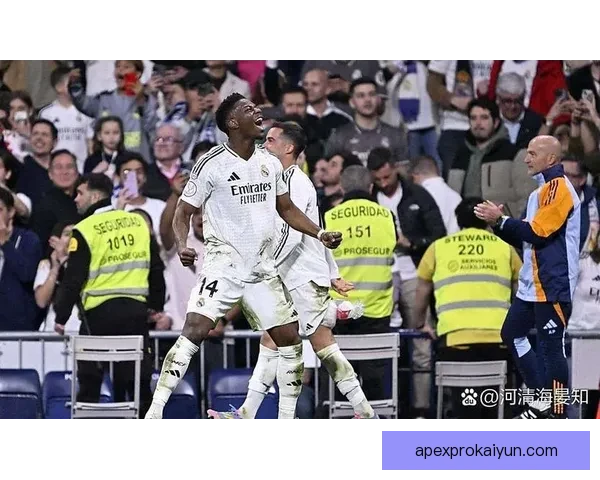 英超布莱顿持续关注引援动态，球队深具竞争力增强趋势